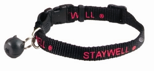 PetSafe Staywell 480 Original Key náhradní klíč