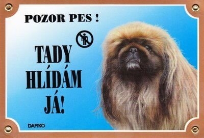 Barevná cedulka Pozor pes, Pekinéz