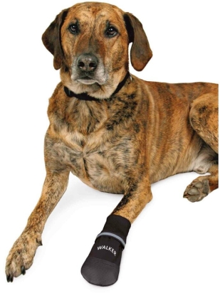 Komfortní ochranné nylonové botičky XXL, 2 ks (Bernský salašnický pes)