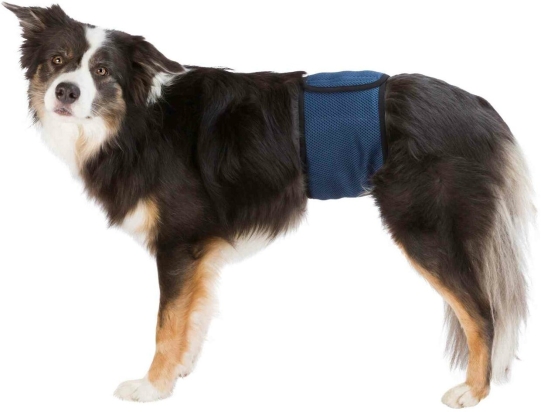 Břišní pás na podložky pro psa samce L 55-65 cm tmavě modrý