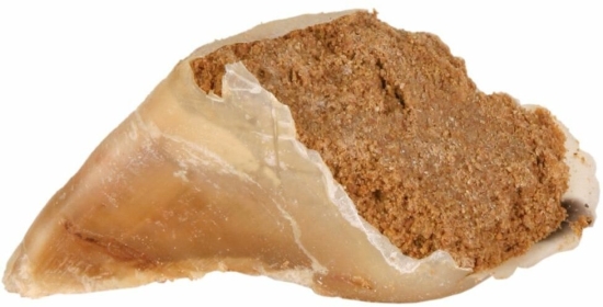 Hovězí kopyto plněné masovou pastou 115g