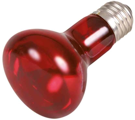 Infrared Heat Spot-Lamp red 50 W (RP 2,10 Kč)