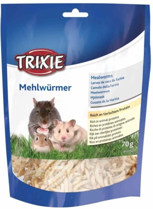 MEALWORMS, mouční červi sušení, 70g