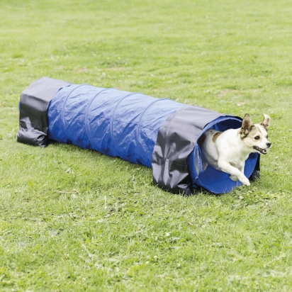 Agility tunel - malý pes, štěně, 40cm/2m - modrý