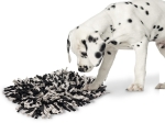 Nobby čichací kobereček pro psy 50 x 34 cm