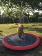 Nobby stříkací bazének Splash Pool M 100cm červená