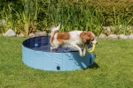 Bazén pro psy 120 x 30 cm světle modrá/modrá