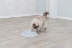 Cat Activity SNACK HIVE XXL, úl - strategická hra, ø 35 cm