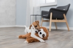 Lenochod, plyšová hračka pro psy, 56cm, se zvukem