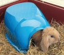 Savic Cocoon plastový domek pro králíky 34,5 x 26,5 x 16 cm