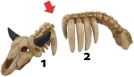 Nobby dekorace do akvária Zvířecí kostra rozpojitelná 34 x 9,5 cm