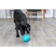 Snack Ball, míček na pamlsky 14 cm, plast, tyrkysová