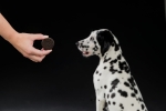 Black & White Cookies, sušenky s kuřecím, 4ks/100g