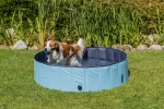Bazén pro psy 160 x 30 cm světle modrá/modrá