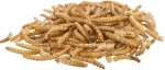 MEALWORMS, mouční červi sušení, 200 g