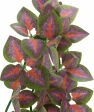 Závěsná terarijní rostlina,  20 x 30 cm, hedvábí