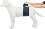 Břišní pás na podložky pro psa samce S-M 37-45cm tmavě modrý