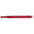 PREMIUM obojek extra široký, L-XL: 53-62 cm/50 mm, červená/grafit
