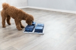 Dog Activity POCKER BOX 1  31x31 cm