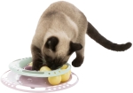 JUNIOR hračka kruh s míčky pro koťata 24 cm