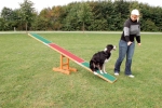 AGILITY houpačka/lávka 300x54x34cm max.do 80kg TRIXIE