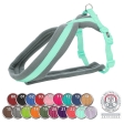 Nylonový postroj PREMIUM podšitý, L-XL: 70-110 cm/25 mm, papaya