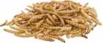 MEALWORMS, mouční červi sušení, 70g