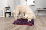 Dog Activity SNIFFING CARPET čichací koberec 50 x 34 cm