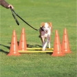Dog Activity překážky (2 ks) 30x50 cm/100 cm oranž/žlutá