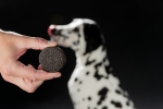 Black & White Cookies, sušenky s kuřecím, 4ks/100g