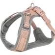 FlexMesh Premium postroj, široký střih, tělová, L: 63-92 cm/ 25 mm