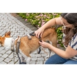 Protipanický adaptér STAY na postroj, černá, L-XL: 59-92 cm/ 25 mm
