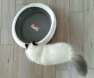 Savic Figaro kočičí toaleta 55 x 48,5 x 15,5 cm