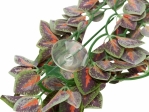 Závěsná terarijní rostlina,  20 x 50 cm, hedvábí