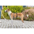 Protipanický adaptér STAY na postroj, černá, L-XL: 59-92 cm/ 25 mm