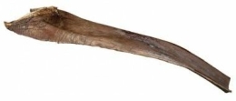 Papah wood - palmový list 50-65 cm pro plazy na lezení (6ks)