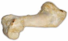Hovězí kost bílá - extrudovaná 1 ks/36 cm