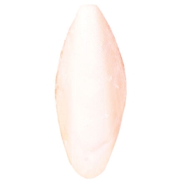 Sepiová kost volná 6 až 12cm (10ks/bal)
