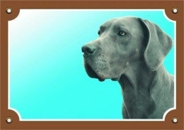 Barevná cedulka Pozor pes, Doga modrá