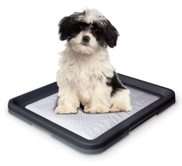 Nobby Doggy Trainer S plastové WC na podložky pro štěňata 48 x 41 x 3,5 cm