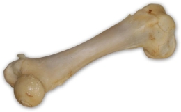 Vepřová kost bílá - extrudovaná 1 ks/17 cm
