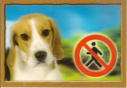 Cedulka 3D PSI, Beagle