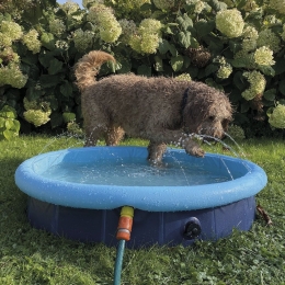 Nobby stříkací bazének Splash Pool 2v1 M 120x30cm