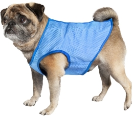 Nobby chladící vesta M pro psa