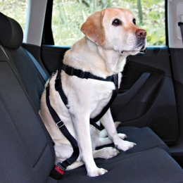 Nobby bezpečnostní postroj M pro psa do auta