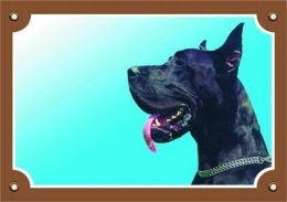 Barevná cedulka Pozor pes, Doga černá