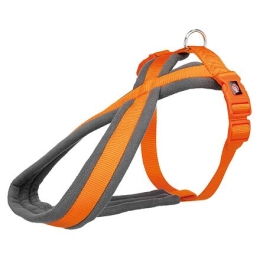 Nylonový postroj PREMIUM podšitý, L-XL: 70-110 cm/25 mm, papaya