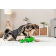 DOG ACTIVITY krokodýl na pamlsky, 12 cm, přírodní guma, zelená